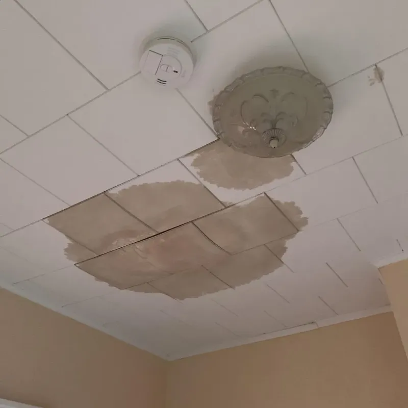 Ceiling Water Damage Repair in Haskell, AR