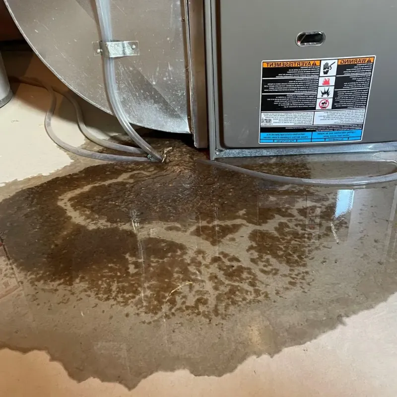 Pipe Burst and Leak Restoration in Haskell, AR