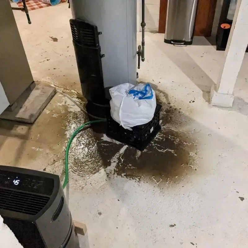 Sewage Backup Cleanup Service in Haskell, AR
